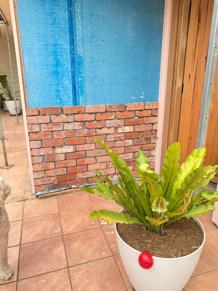 Tiling the feature wall with the secondhand red brick tiles