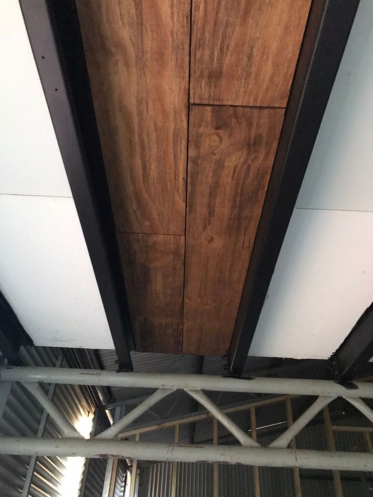 Ceiling Plywood.JPEG