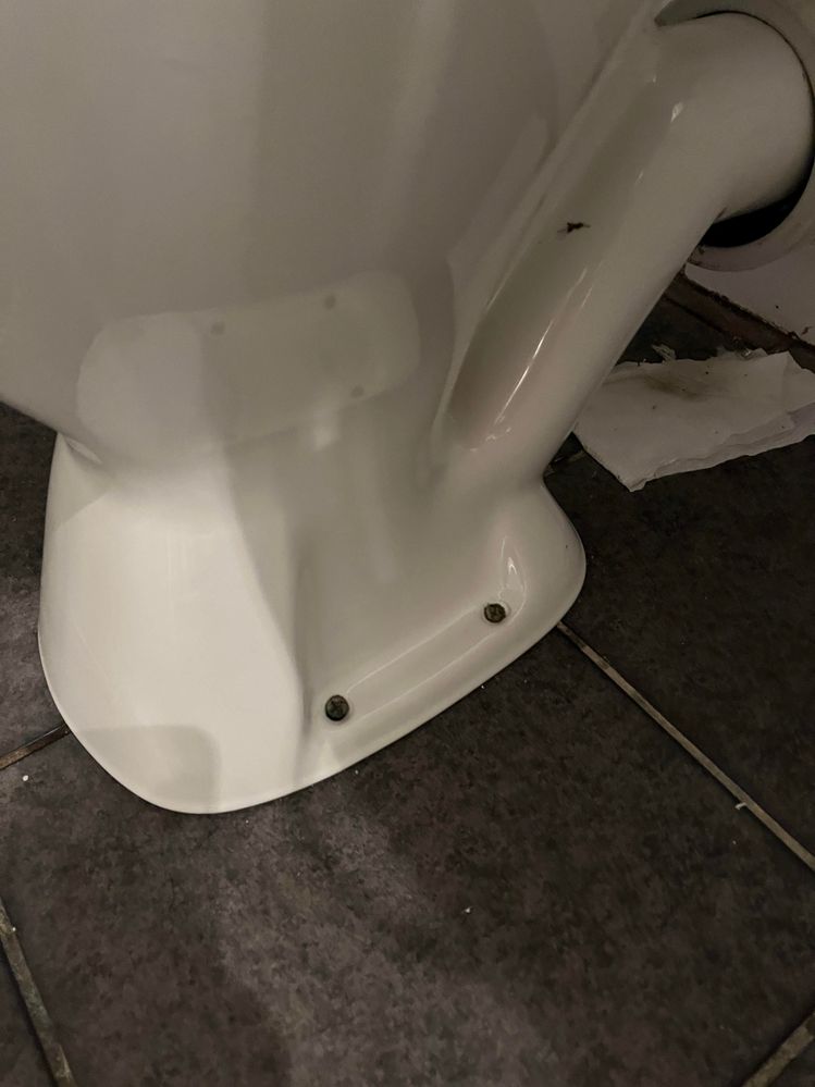 toilet.jpg