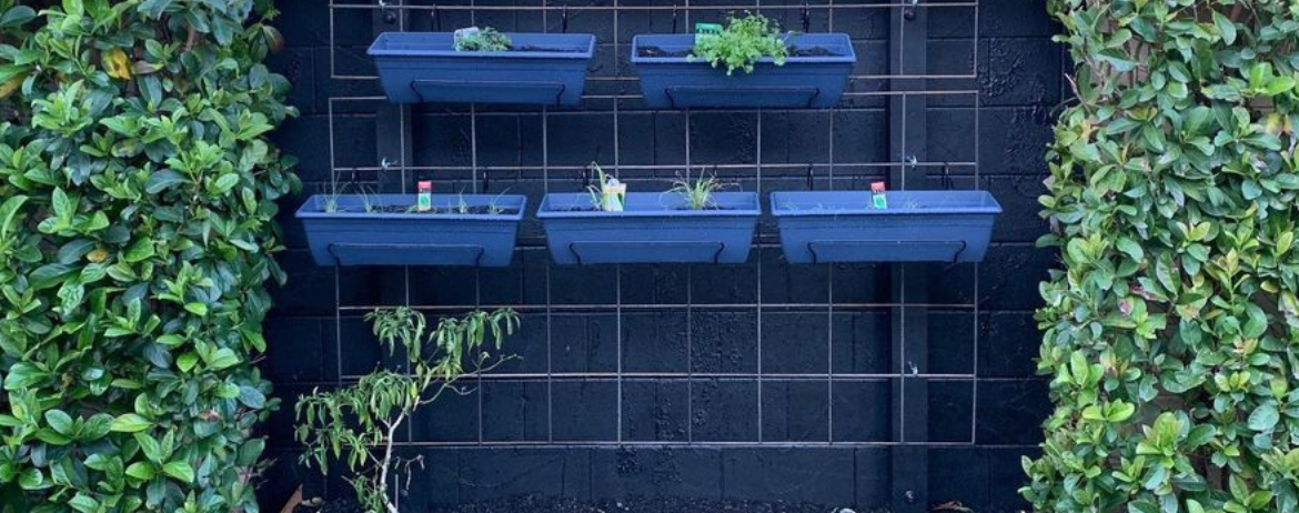 Vertical garden.png