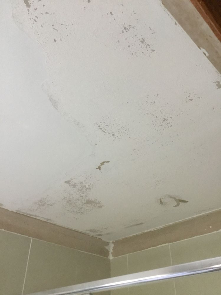 Flaking ceiling paint