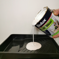 5.2 Pouring paint into tray.png