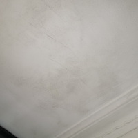 2.1 Mould on ceiling.png