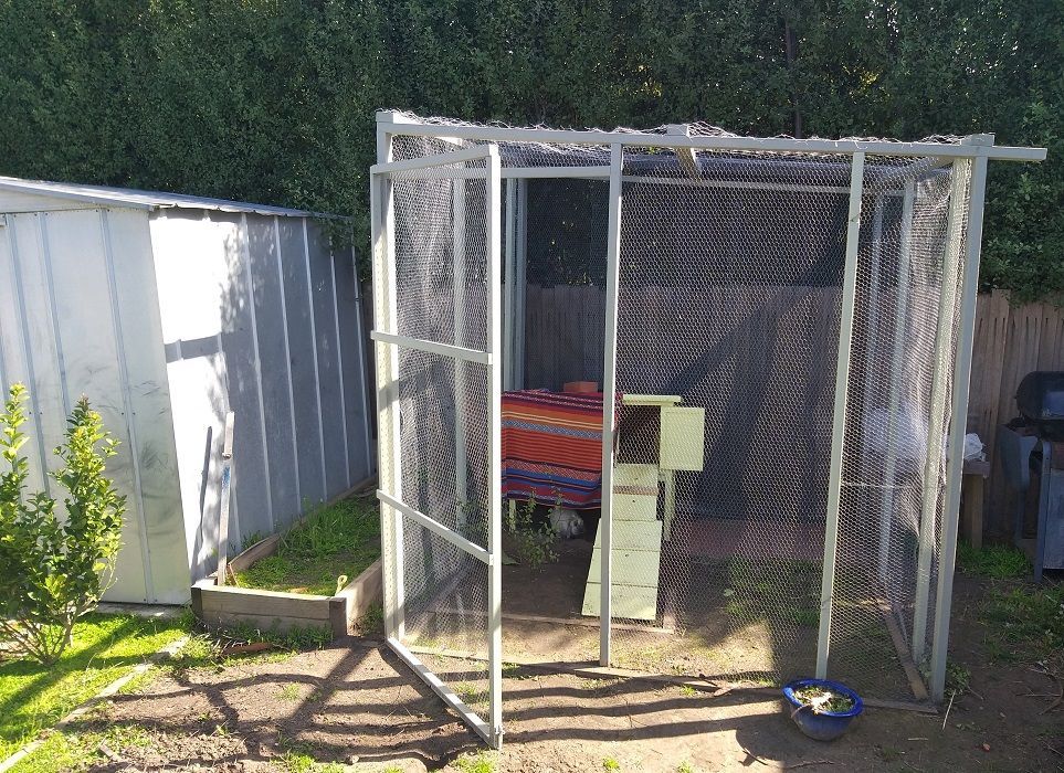 Honeysuckle shop rabbit hutch