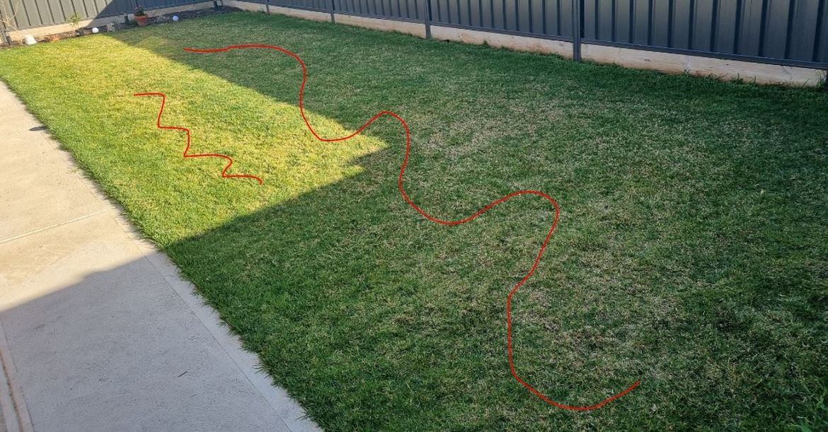 Turf Backyard.JPG