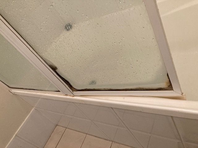 Shower Mould.JPG