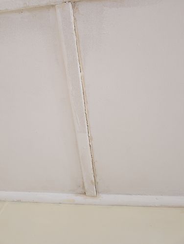 Gap in ceiling and skirting