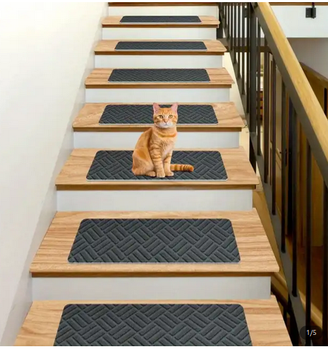 Best example of Carpet patches on steps.png