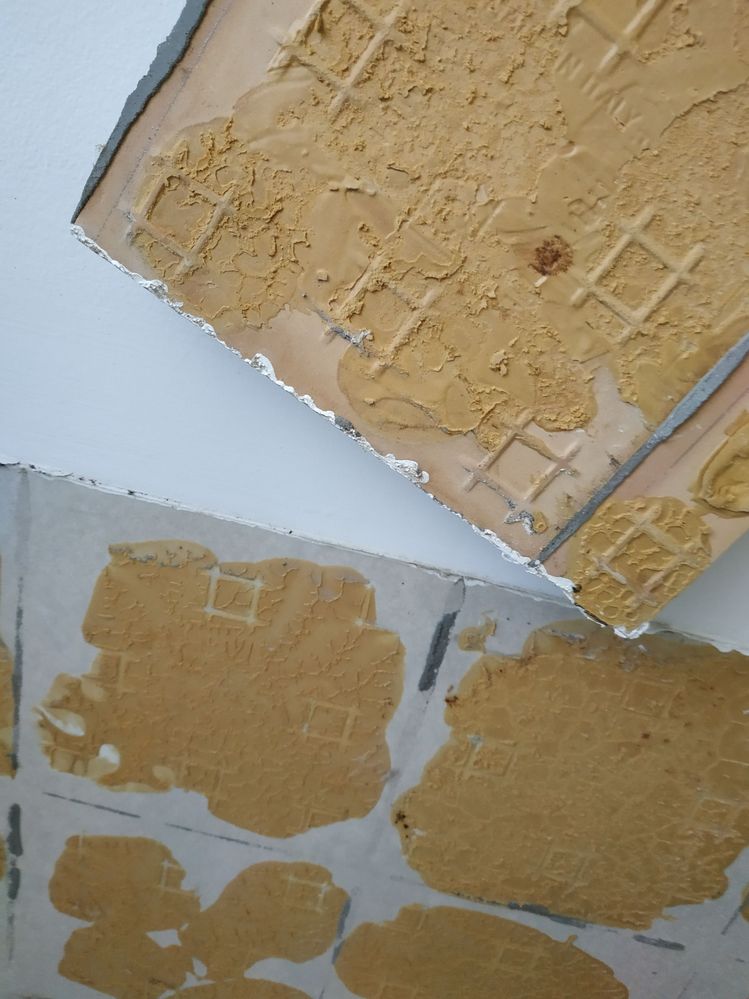 old tile and adhesive glue.jpg