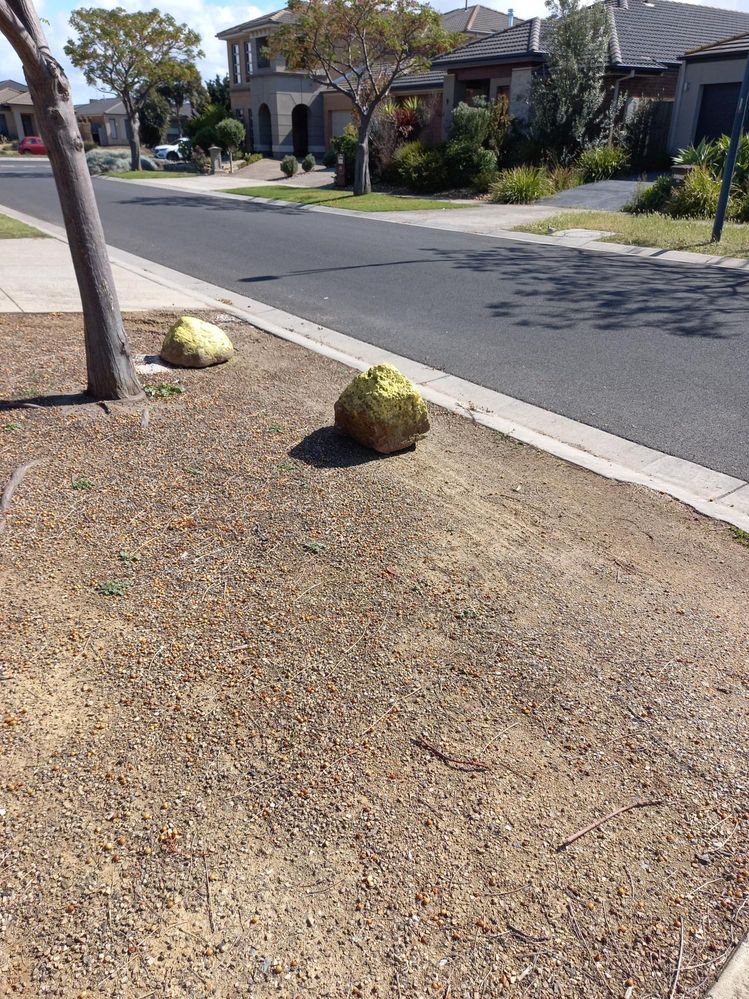 Placed 2 big rocks on nature strip.