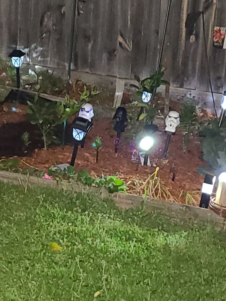 Garden bed with solar lights