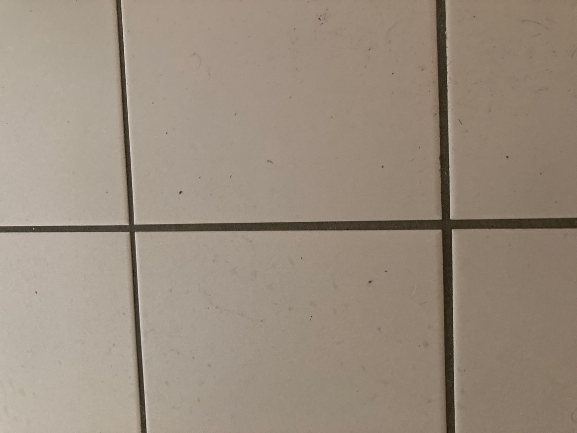 Tile Bathroom Floor.JPG