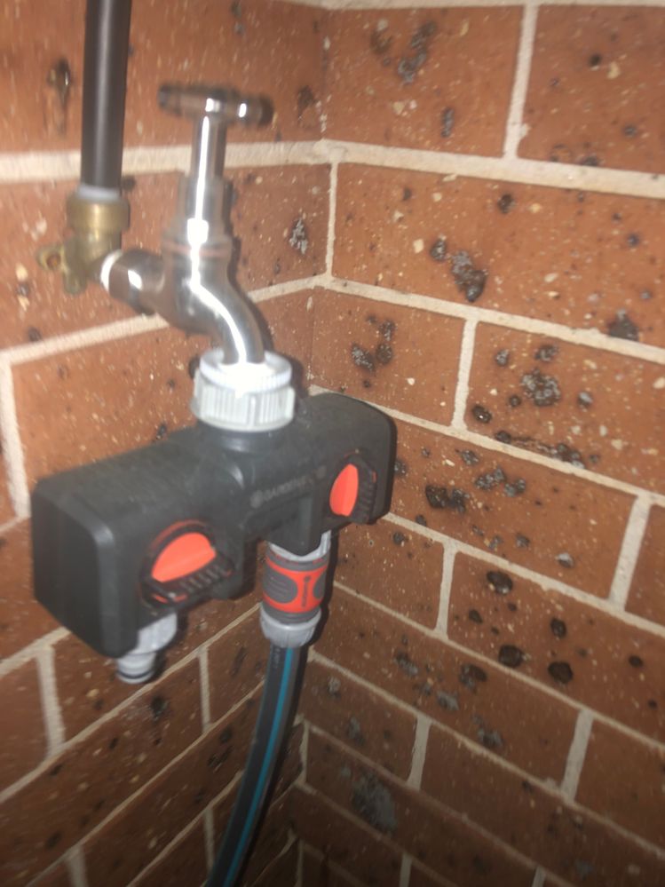 Black hose fittings and new wall tap