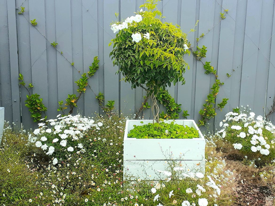 Planter box complete.jpg