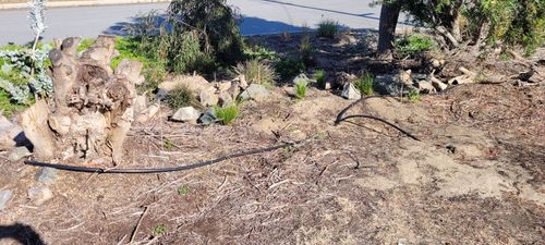 Retic exposed by erosion, perfect spot for raingarden!