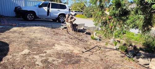 Retic exposed by erosion, perfect spot for raingarden!