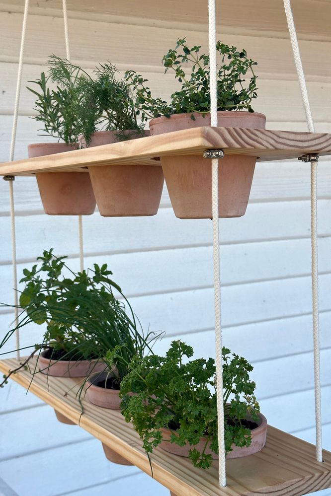 Re: Hanging herb garden | Bunnings Workshop community