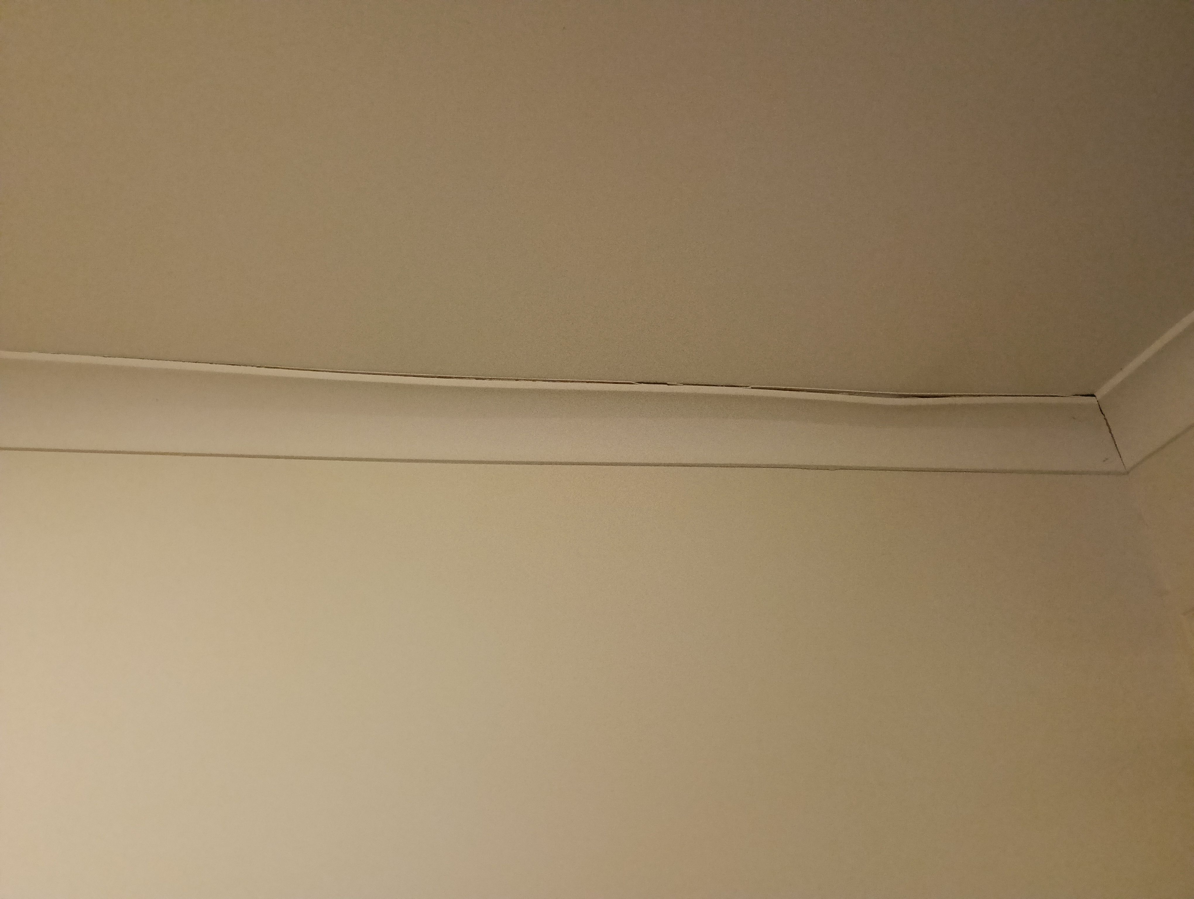 Solved: How to fix water-damaged cornice? | Bunnings Workshop community