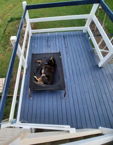 Dark patches started appearing through the paint. And yes, I replaced her bed even though she loved this one so much.