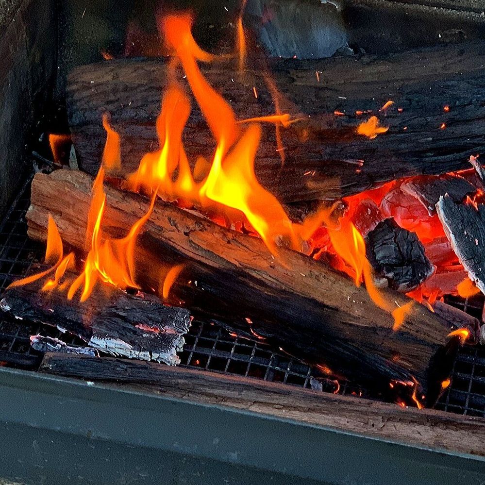 Step 3 - Add logs to fire.jpg