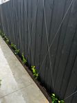 4. Star Jasmine fence screening using wire.jpg