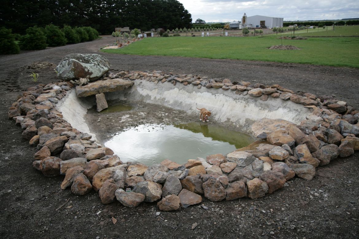 Pond no 1.JPG