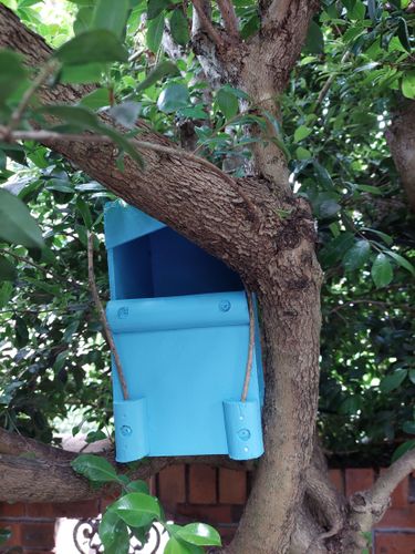 Bird House attached to tree