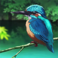 kingfisher.png