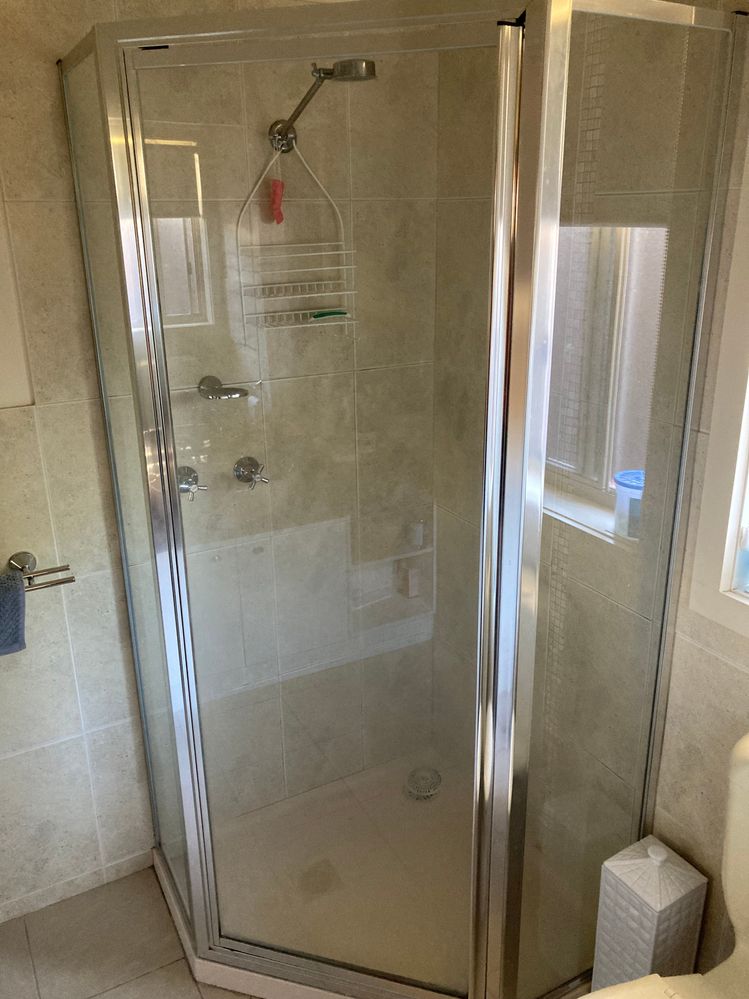 Shower door