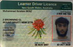 driving license.png