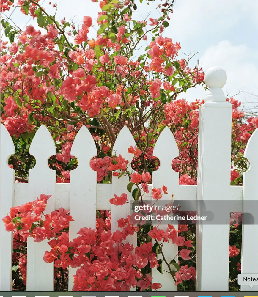 A similar looking fence not sure if it will block sunlight to my veggie garden