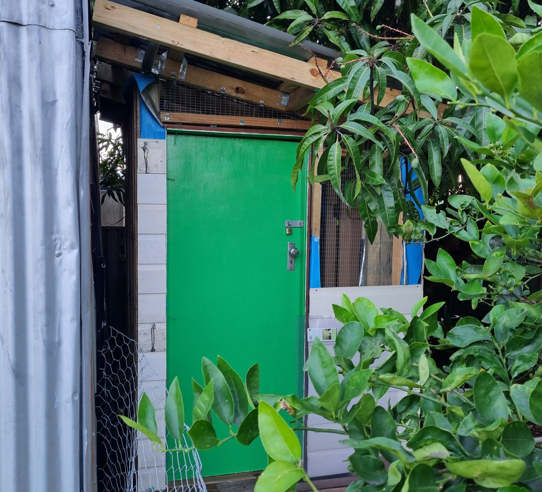 Chicken coop using recycled materials.png