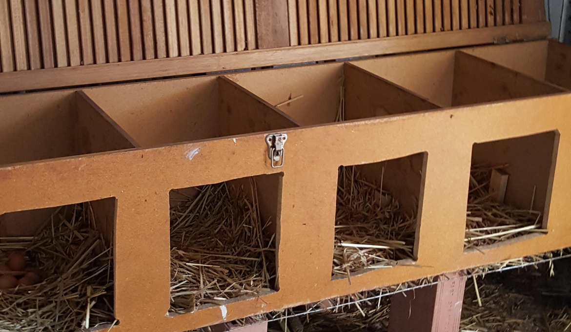 Chicken laying box using recycled pantry.png