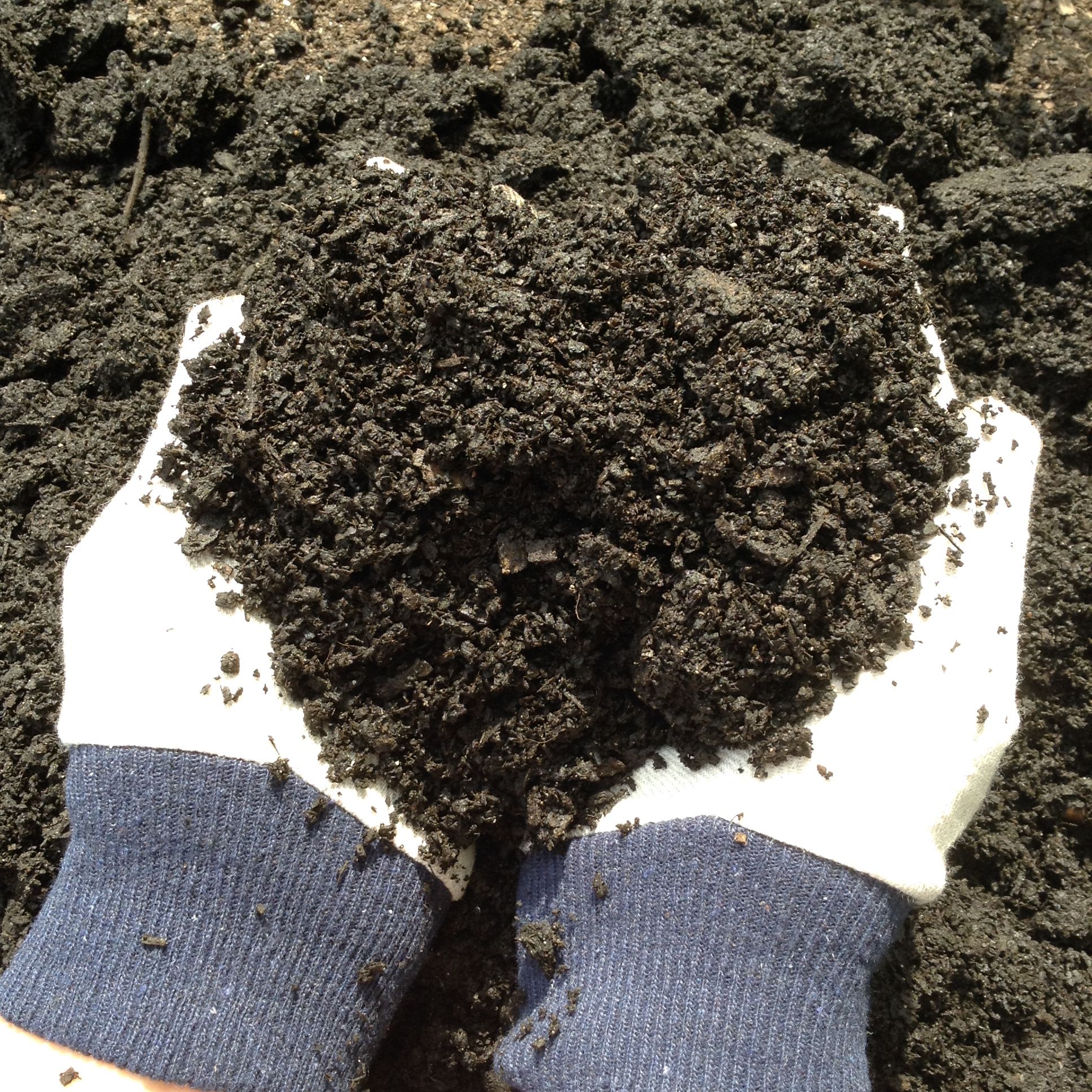 how to make compost for your garden bunnings workshop