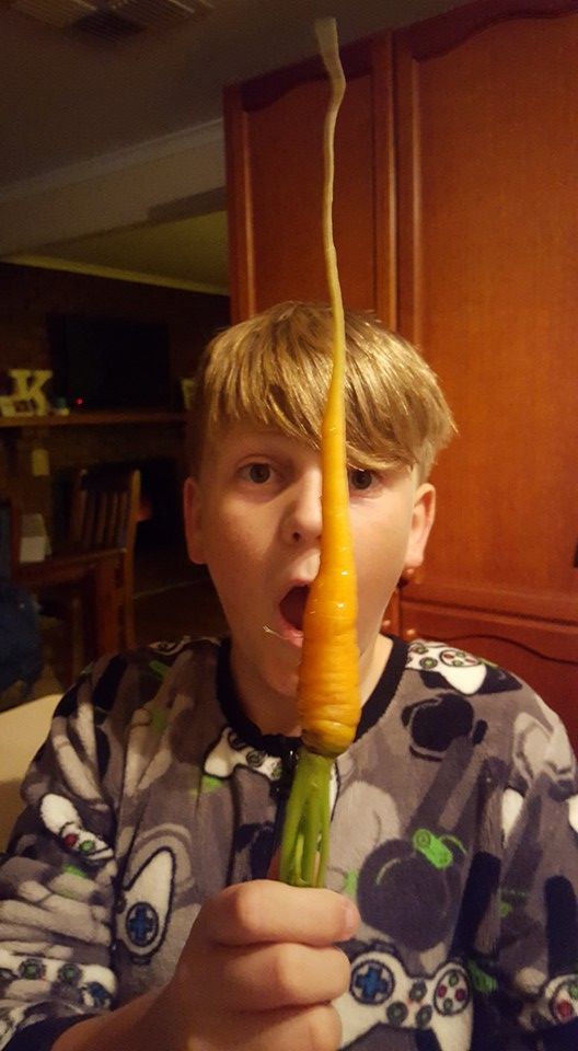 carrot.jpg