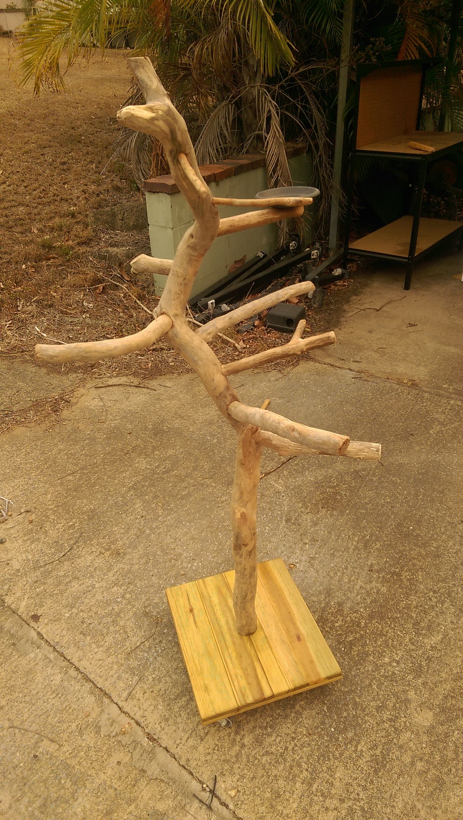 Natural 2024 bird stand