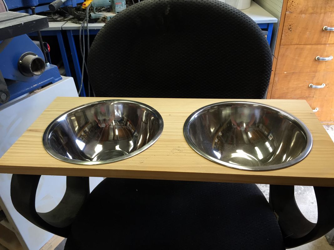 Doggy Bowls 3.jpg