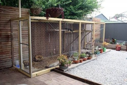 Diy outside hotsell cat enclosures