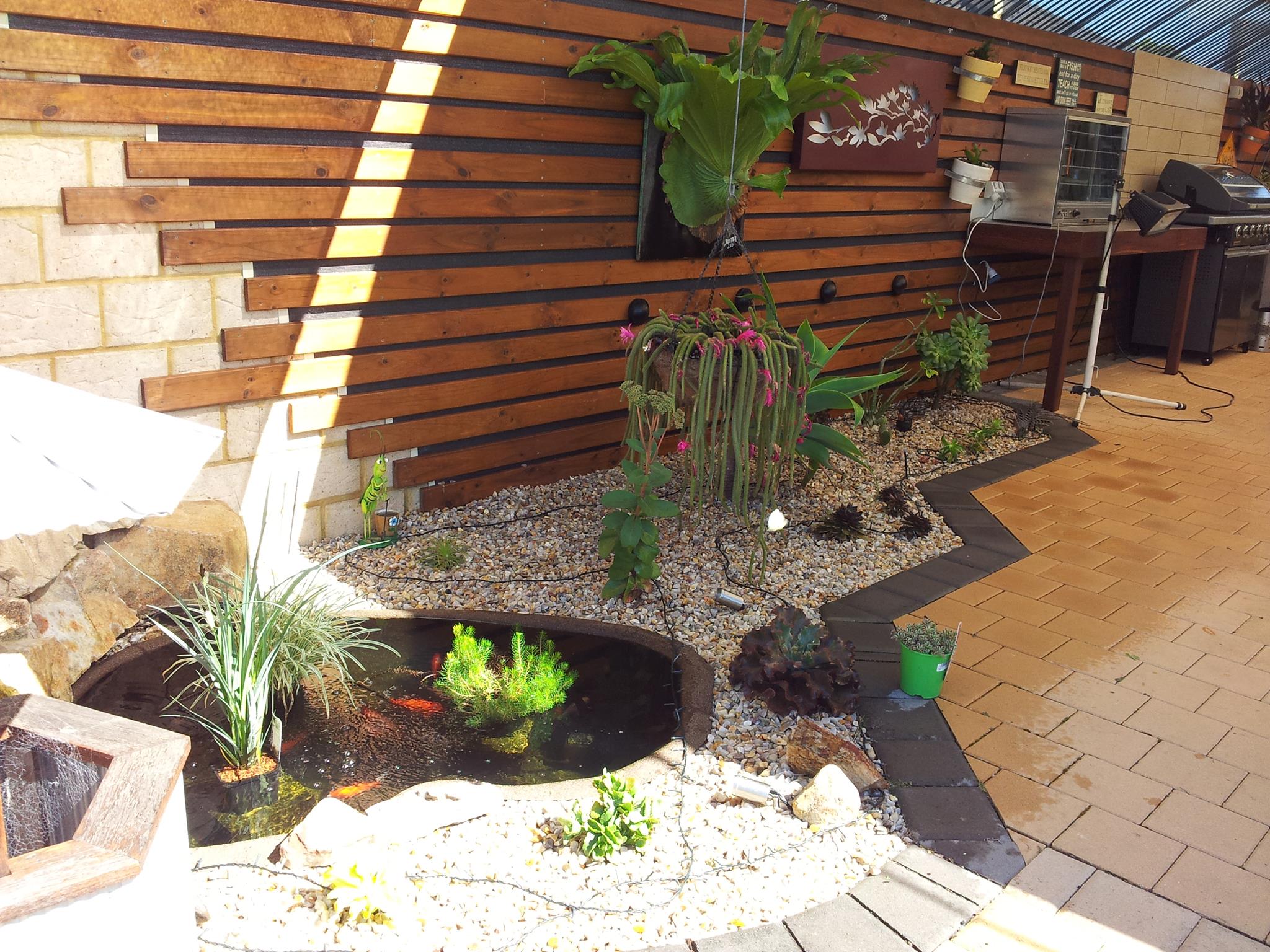 pond-patio.jpg