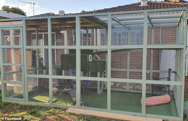 Cat shop cage bunnings