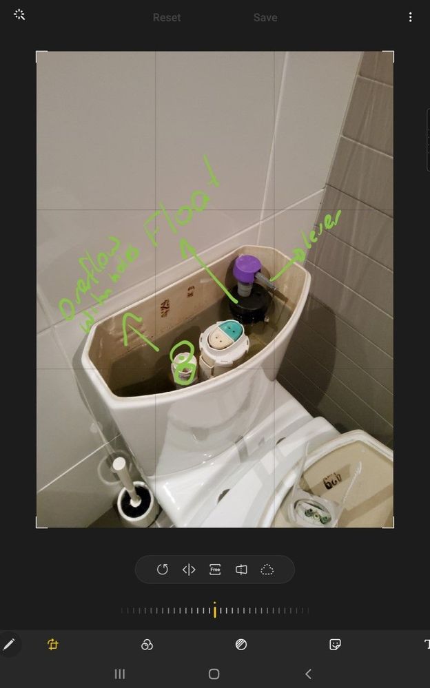 Toilet.jpg