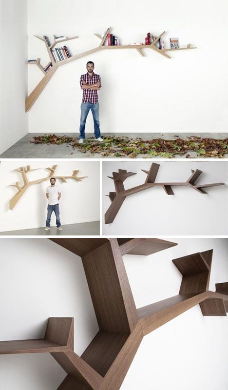 tree limb shelves