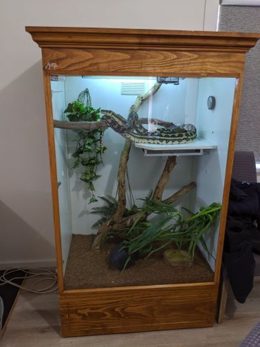 Custom hotsell snake enclosure