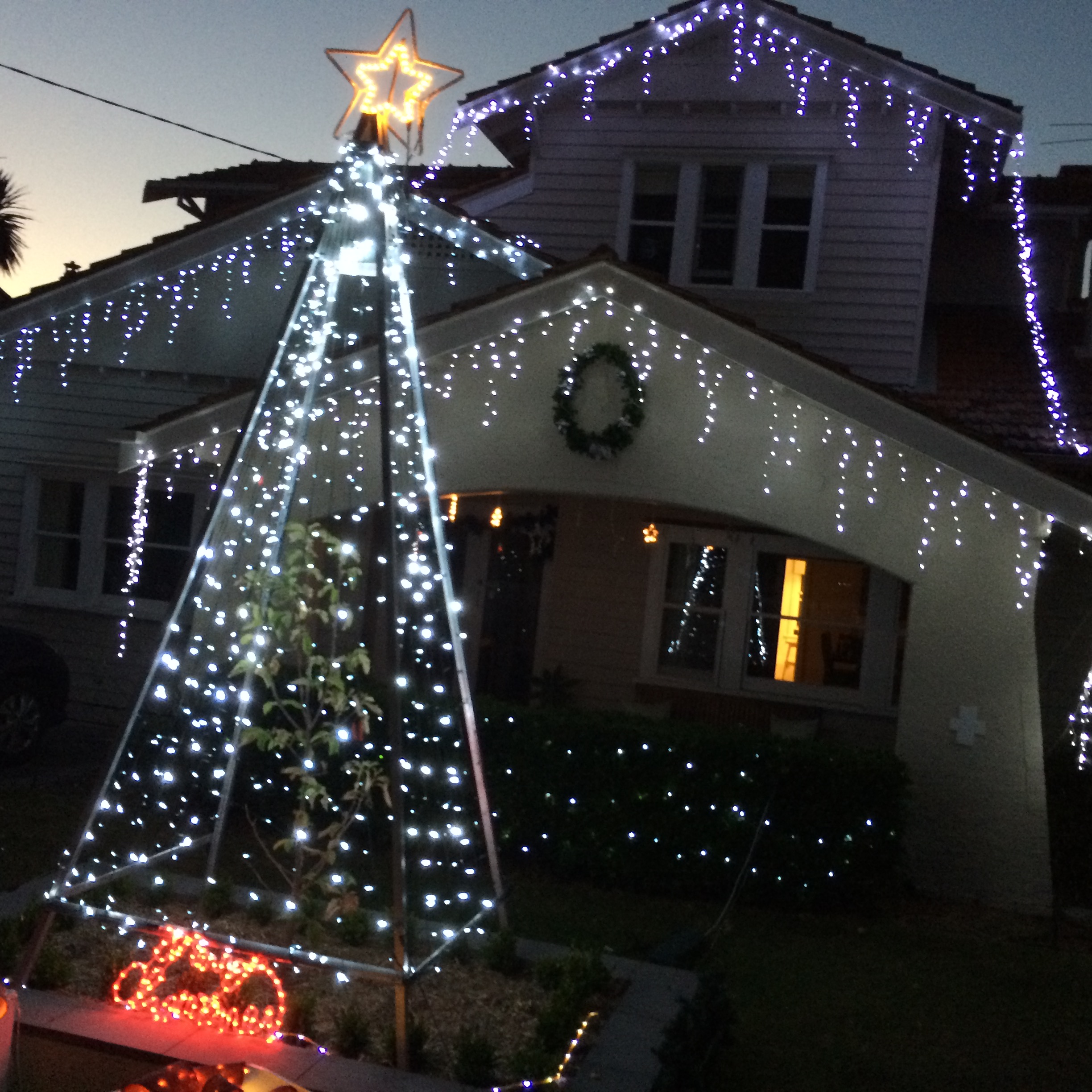 Christmas tree deals lights bunnings