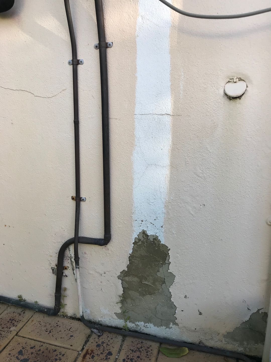 Solved: How to fix water damaged wall? | Bunnings Workshop ...