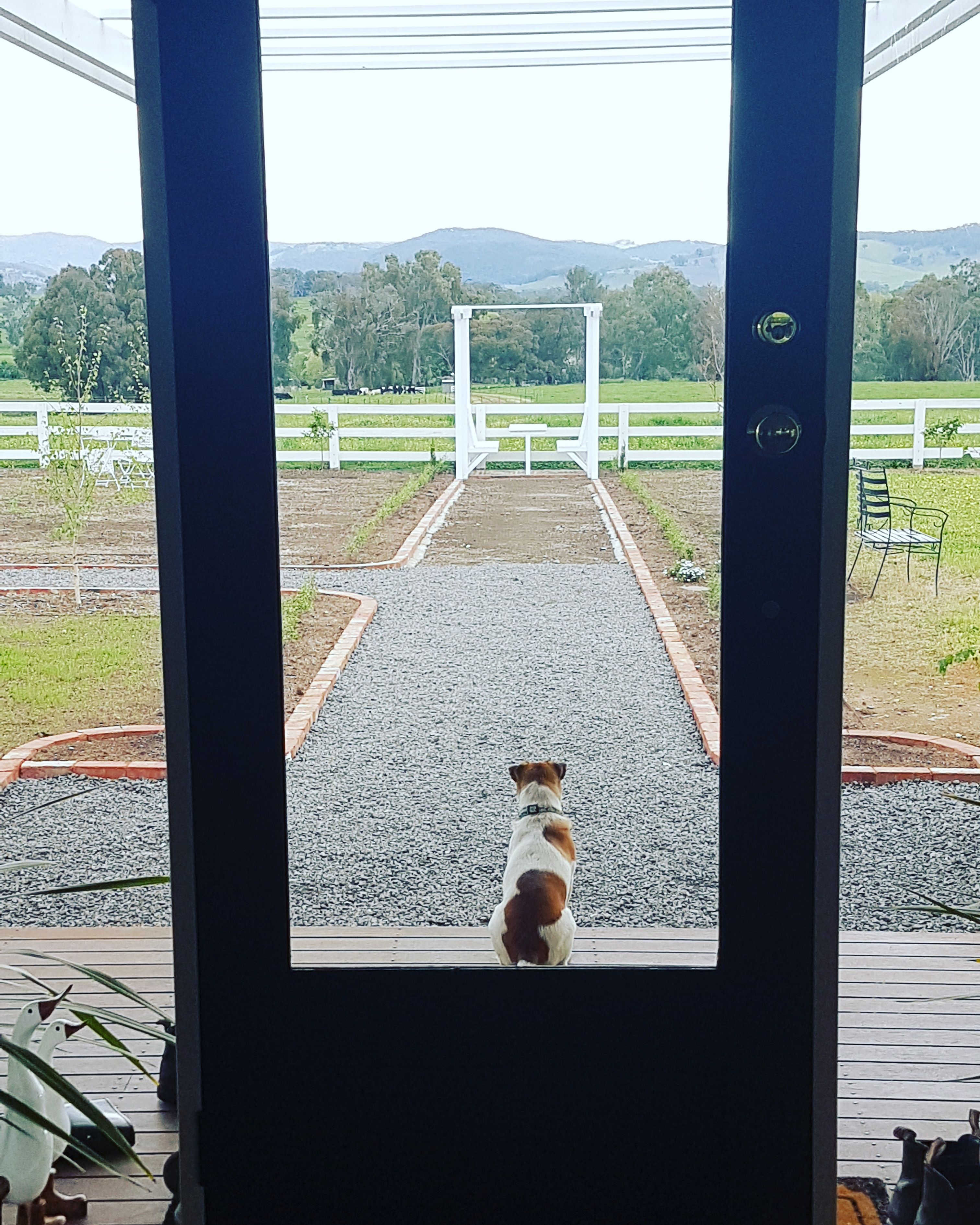 new pergola build bunnings workshop community