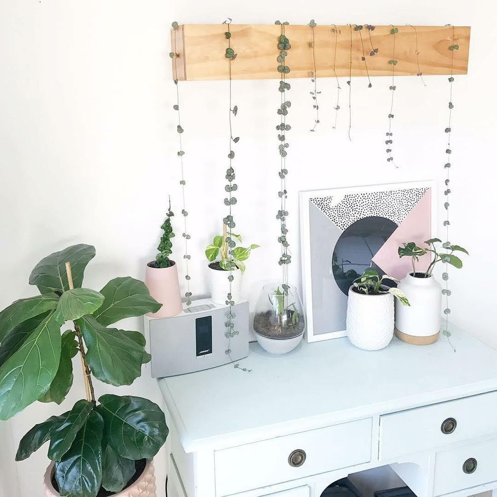 Floating planter box