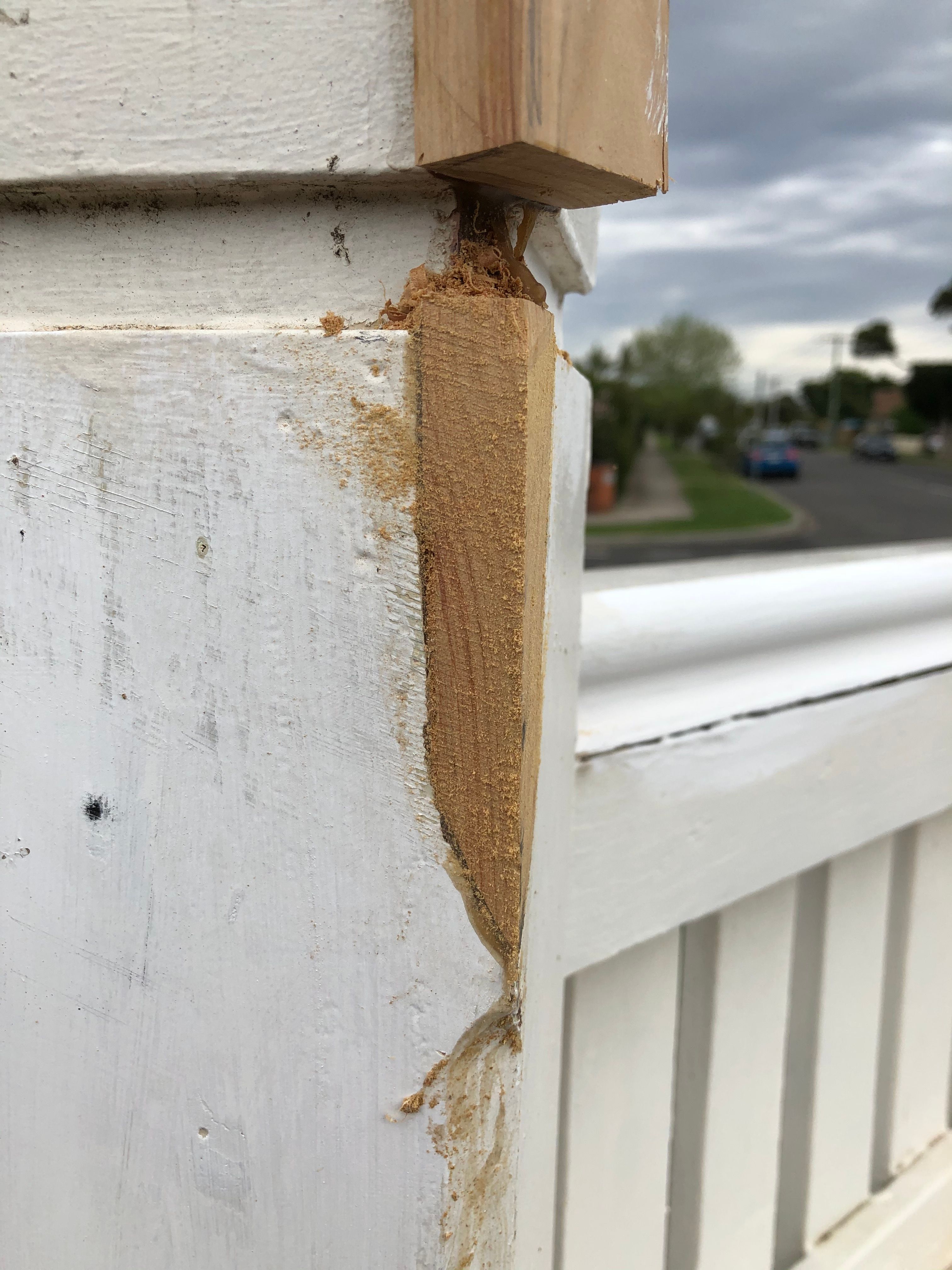 Front Fence Post Repair Corner Rotting T... | Bunnings Workshop Community