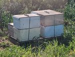 Beehives