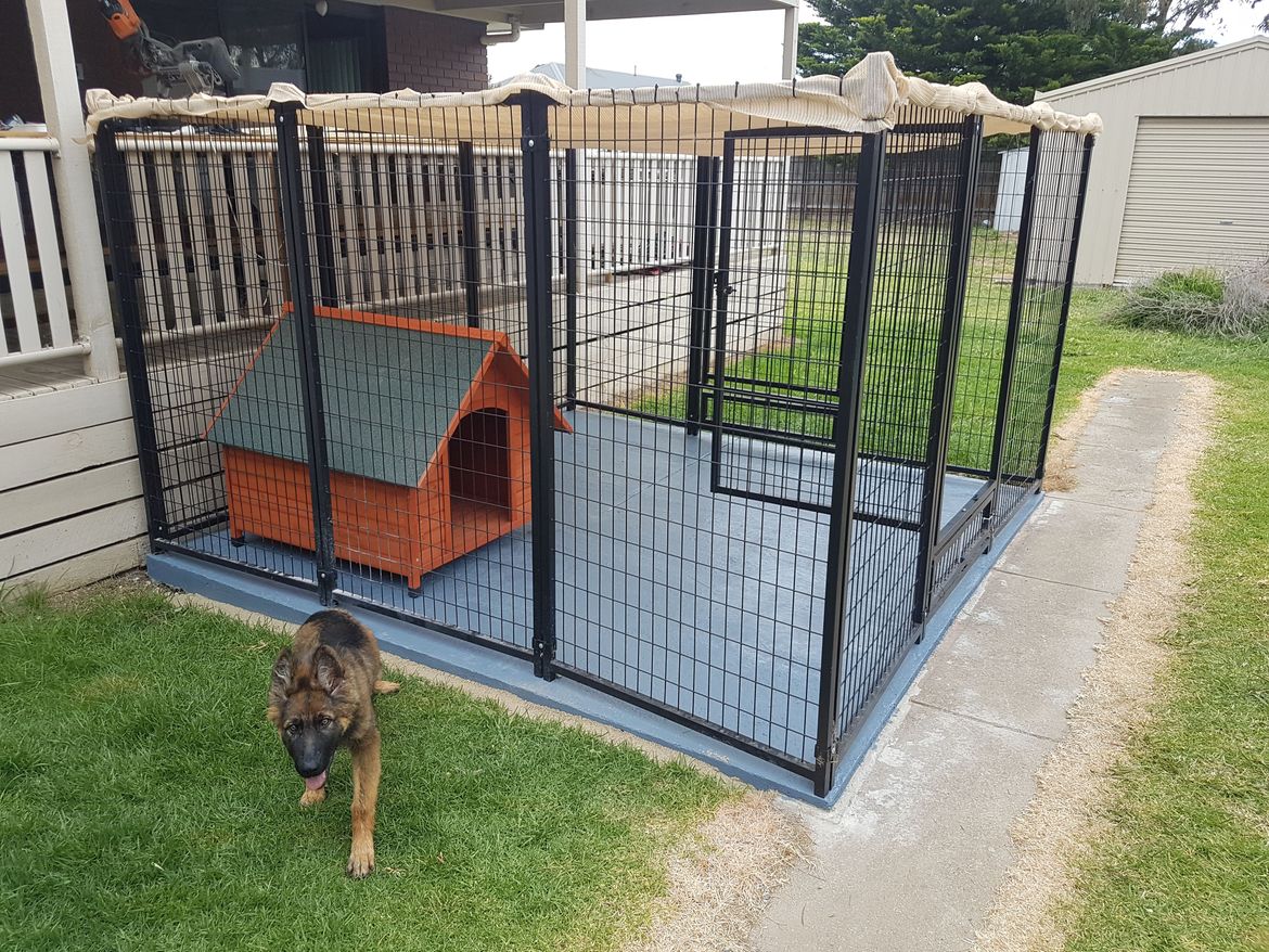 Dog enclosure with concrete slab Bunnings Workshop community